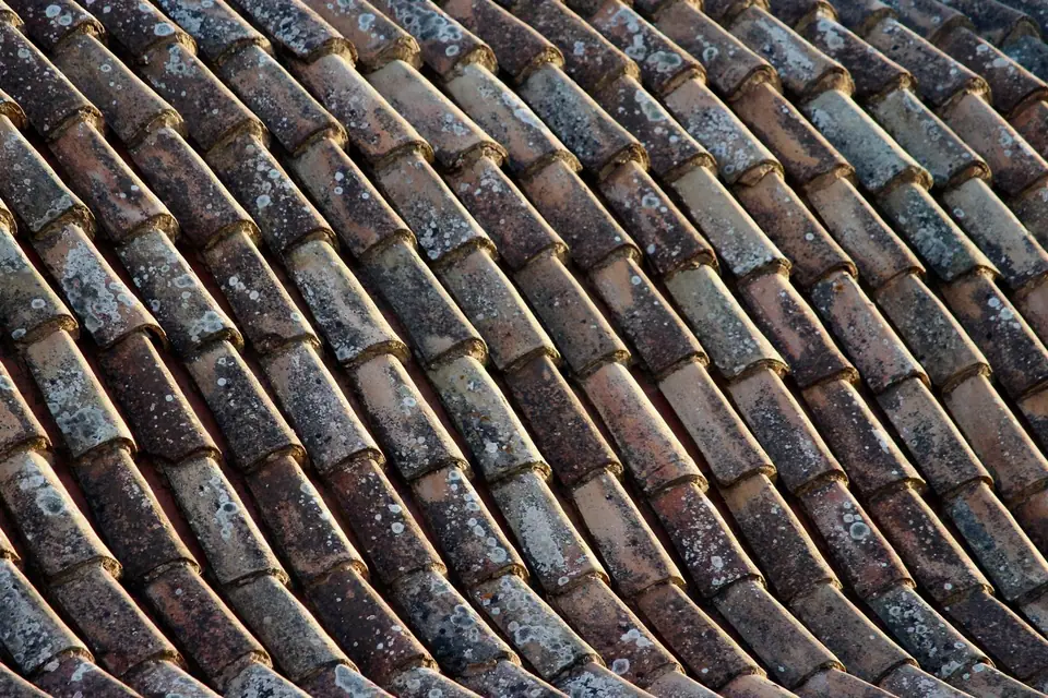 Dark streaks and staining across a barrel tile roof